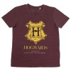 Harry Potter Hogwarts outfit
