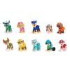 Paw Patrol blister 10 figures