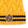 Harry Potter Hufflepuff hat