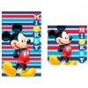 Disney Mickey set 2 cotton bath towels