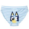 Bluey slip swimwear
