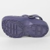 Bluey beach clog assorted