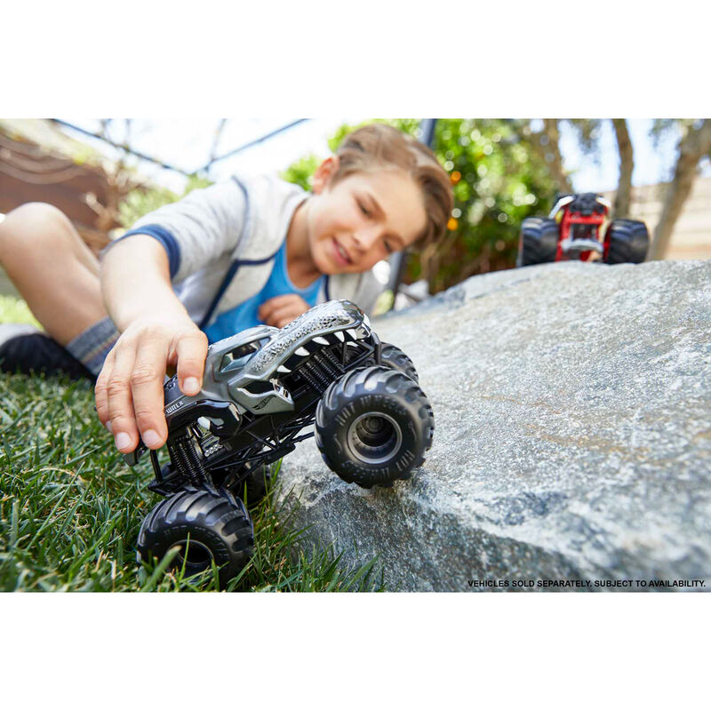 Hot Wheels Monster Trucks assorted car