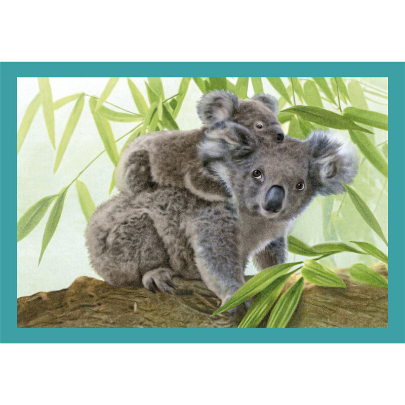 Noli Baby Cuddles puzzle 12-16-20-24pcs Noli Baby Cuddles puzzle 12-16-20-24pcs
