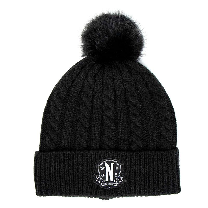 Wednesday hat and gloves set