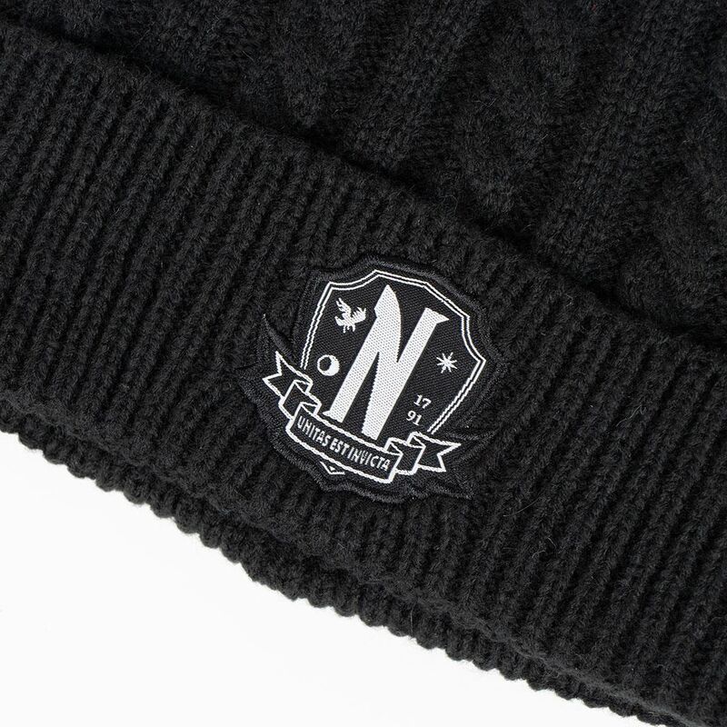 Wednesday hat and gloves set