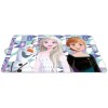 Disney Frozen placemat